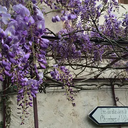 Un Jardin Dans La Falaise *