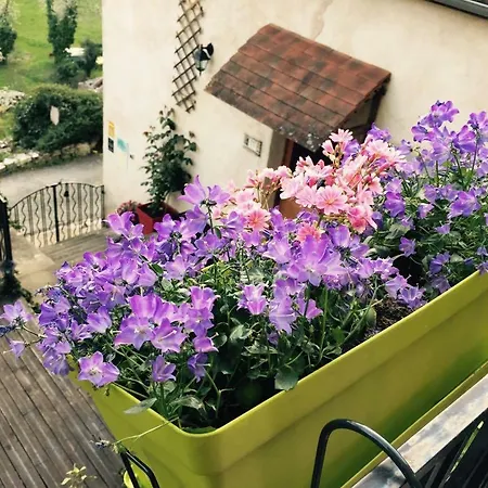 Un Jardin Dans La Falaise 住宿加早餐酒店 *