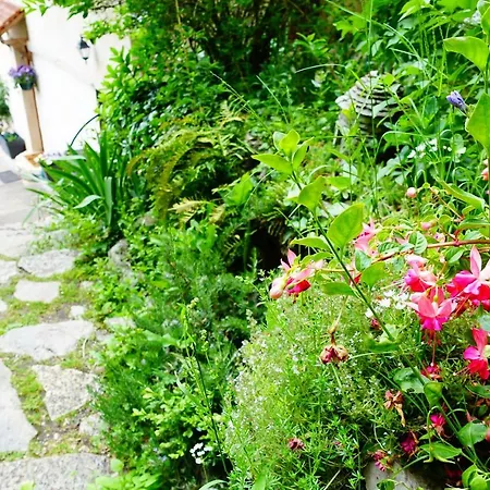 住宿加早餐酒店 Un Jardin Dans La Falaise