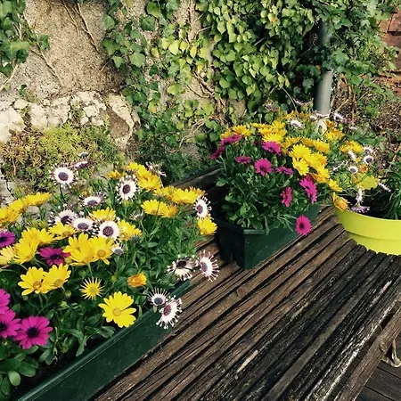 Un Jardin Dans La Falaise